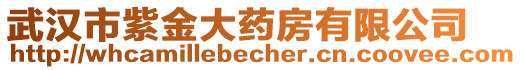 武漢市紫金大藥房有限公司