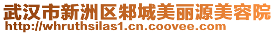 武漢市新洲區(qū)邾城美麗源美容院