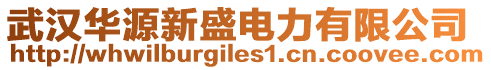 武漢華源新盛電力有限公司