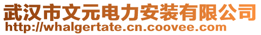 武漢市文元電力安裝有限公司