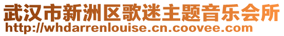 武漢市新洲區(qū)歌迷主題音樂會(huì)所