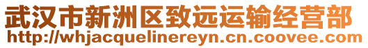 武漢市新洲區致遠運輸經營部