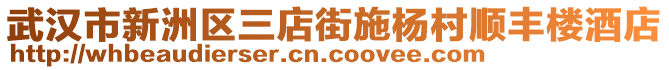 武漢市新洲區(qū)三店街施楊村順豐樓酒店