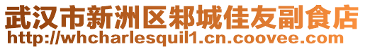 武漢市新洲區(qū)邾城佳友副食店