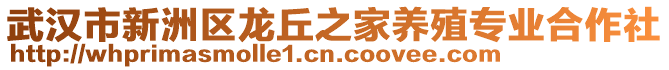 武漢市新洲區龍丘之家養殖專業合作社
