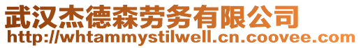 武漢杰德森勞務(wù)有限公司