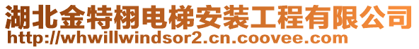 湖北金特栩電梯安裝工程有限公司