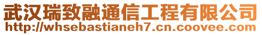 武漢瑞致融通信工程有限公司