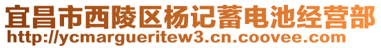 宜昌市西陵區(qū)楊記蓄電池經營部