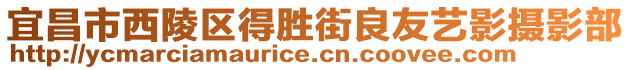 宜昌市西陵區(qū)得勝街良友藝影攝影部