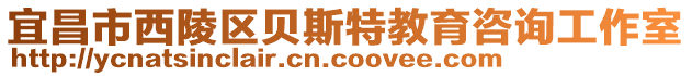 宜昌市西陵區(qū)貝斯特教育咨詢工作室