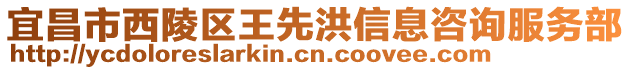 宜昌市西陵區(qū)王先洪信息咨詢服務(wù)部