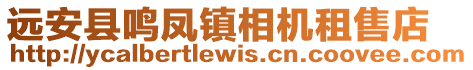 遠(yuǎn)安縣鳴鳳鎮(zhèn)相機(jī)租售店