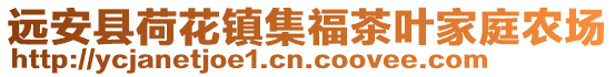 远安县荷花镇集福茶叶家庭农场