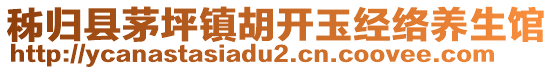 秭歸縣茅坪鎮(zhèn)胡開玉經(jīng)絡養(yǎng)生館