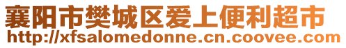 襄陽市樊城區(qū)愛上便利超市