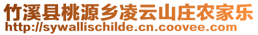 竹溪縣桃源鄉(xiāng)凌云山莊農(nóng)家樂