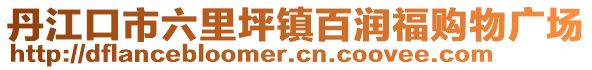 丹江口市六里坪镇百润福购物广场