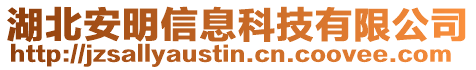 湖北安明信息科技有限公司