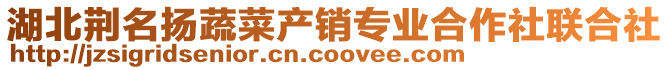 湖北荊名揚(yáng)蔬菜產(chǎn)銷專業(yè)合作社聯(lián)合社