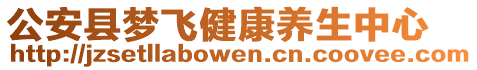 公安縣夢飛健康養(yǎng)生中心