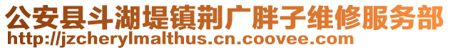 公安縣斗湖堤鎮(zhèn)荊廣胖子維修服務部