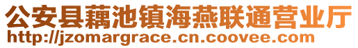 公安縣藕池鎮(zhèn)海燕聯(lián)通營(yíng)業(yè)廳