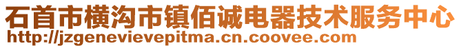 石首市橫溝市鎮(zhèn)佰誠電器技術服務中心