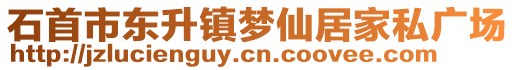 石首市東升鎮(zhèn)夢仙居家私廣場