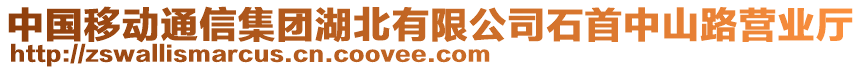 中國移動通信集團湖北有限公司石首中山路營業(yè)廳