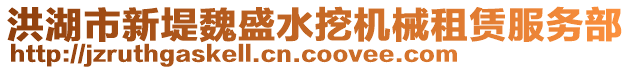 洪湖市新堤魏盛水挖機械租賃服務部