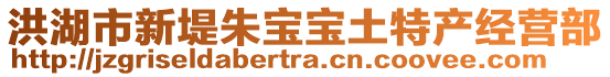 洪湖市新堤朱寶寶土特產經營部