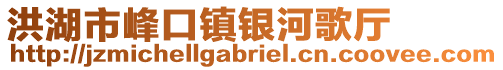 洪湖市峰口鎮銀河歌廳