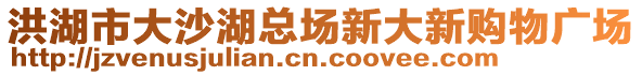 洪湖市大沙湖總場新大新購物廣場