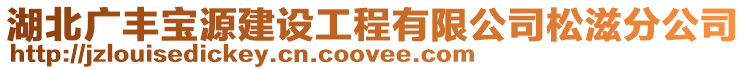 湖北廣豐寶源建設工程有限公司松滋分公司