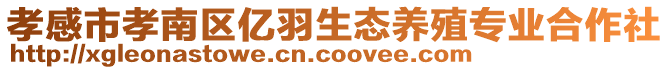 孝感市孝南區億羽生態養殖專業合作社