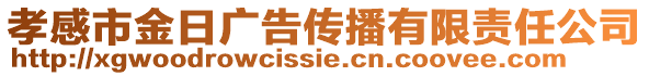 孝感市金日廣告?zhèn)鞑ビ邢挢?zé)任公司