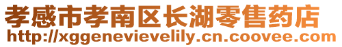 孝感市孝南區(qū)長湖零售藥店