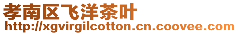 孝南區(qū)飛洋茶葉