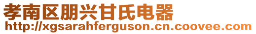 孝南區(qū)朋興甘氏電器