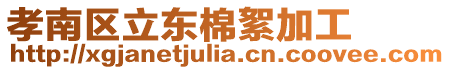 孝南區(qū)立東棉絮加工