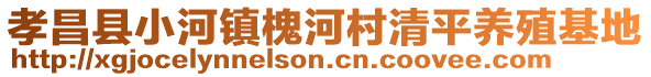 孝昌縣小河鎮(zhèn)槐河村清平養(yǎng)殖基地