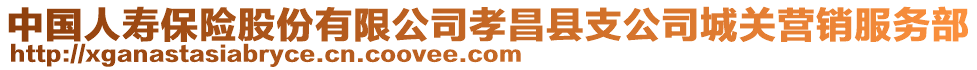 中國人壽保險股份有限公司孝昌縣支公司城關(guān)營銷服務(wù)部