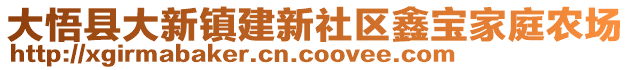 大悟縣大新鎮(zhèn)建新社區(qū)鑫寶家庭農(nóng)場