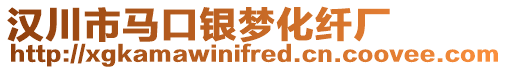 漢川市馬口銀夢化纖廠