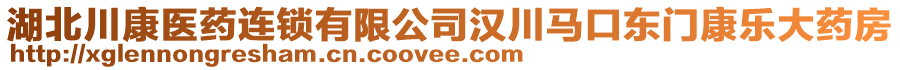 湖北川康医药连锁有限公司汉川马口东门康乐大药房