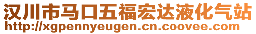 漢川市馬口五福宏達(dá)液化氣站