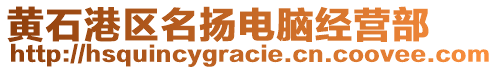 黃石港區(qū)名揚電腦經營部