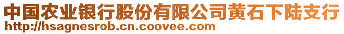 中國農(nóng)業(yè)銀行股份有限公司黃石下陸支行