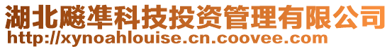 湖北飚凖科技投資管理有限公司